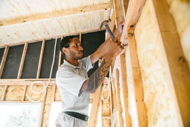Best Energy-efficient Insulation  in Newcastle, WY